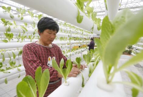 1567685527105195.jpg 2.jpg