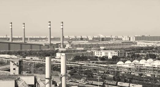 1568035337428123.jpg 1.jpg