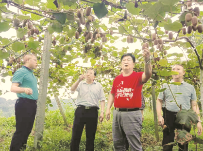 1569328423834601.png 3.png