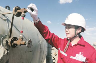 1574248198510202.jpg 2.jpg