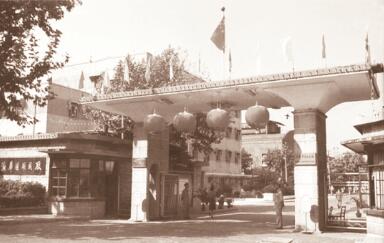 1574425257873366.jpg 8.jpg