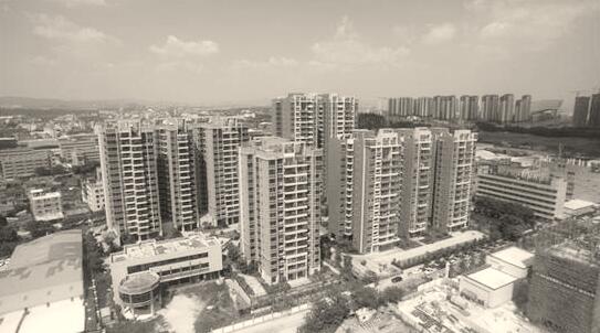 1574772559595022.jpg 1.jpg