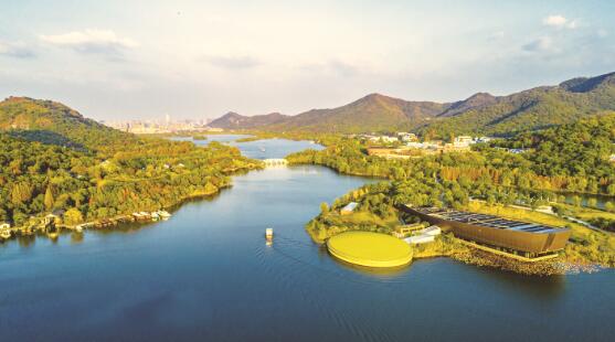 1575115342366927.jpg 2.jpg