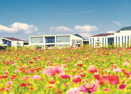 1575115366799209.jpg 3.jpg