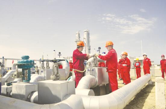 1575116645788051.jpg 4.jpg