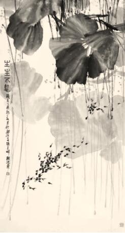 1575286933899625.jpg 1.jpg