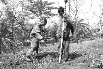 1575544588844063.jpg 1.jpg