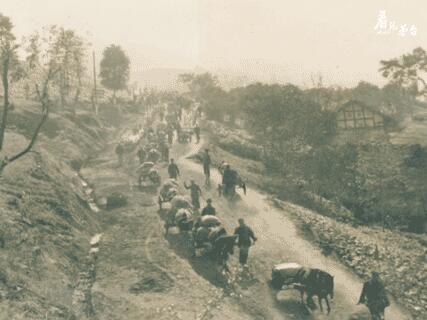 1604919443464223.jpg 3.jpg