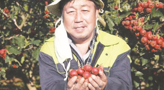 1605259028214167.jpg 2.jpg