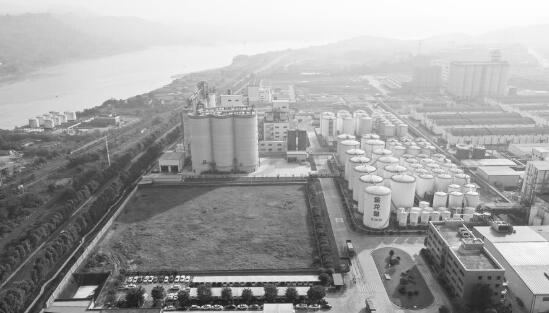 1605623085358771.jpg 1.jpg