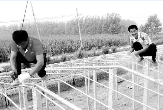 1612526031319206.jpg 1.jpg