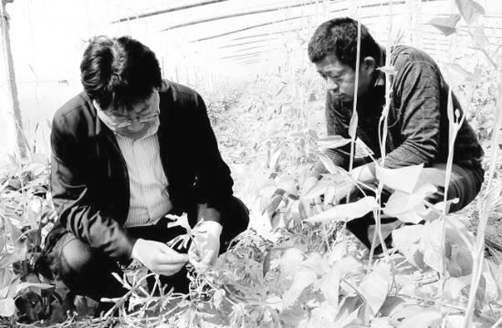 1612526073702483.jpg 3.jpg