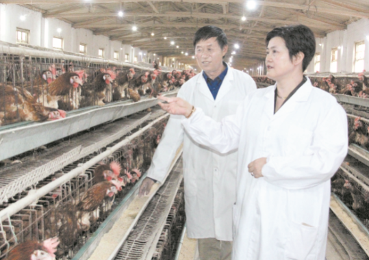 1620903742123793.png 1.png