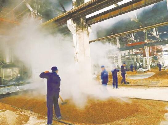 1621004469416131.jpg 2.jpg