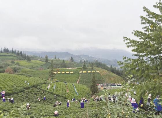 1641984700666117.jpg 3.jpg