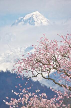 1648546279870654.jpg 4.jpg