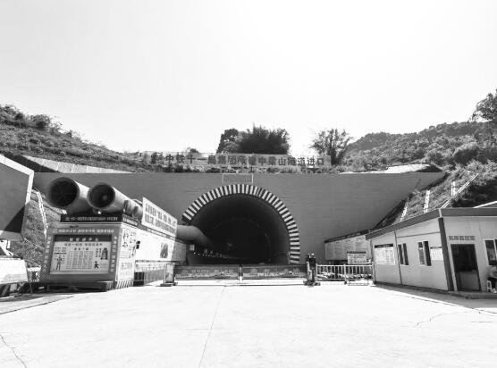 1648638501659064.jpg 1.jpg