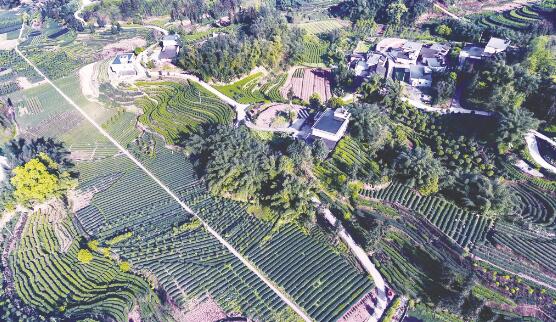 1648639287372694.jpg 1.jpg