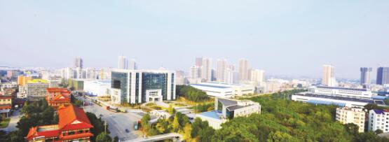 1648642073312103.jpg 11.jpg