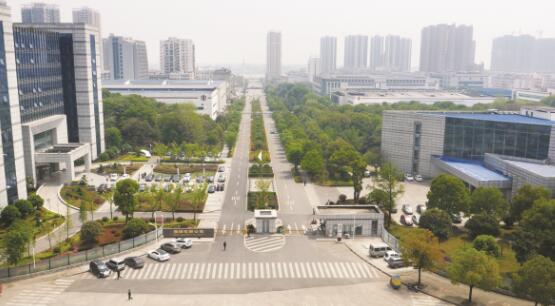 1648642163562684.jpg 9.jpg