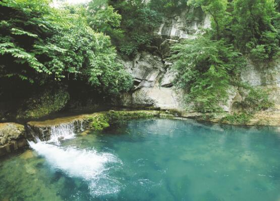 1648642203127026.jpg 4.jpg