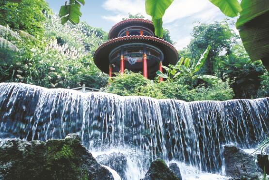 1648642218801803.jpg 8.jpg