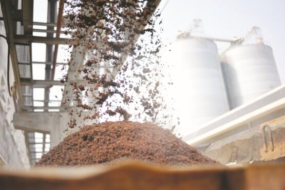 1648642245533526.jpg 5.jpg