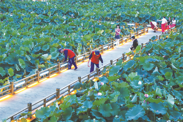 4-1 2 1“电亮”荷月江岸.jpg