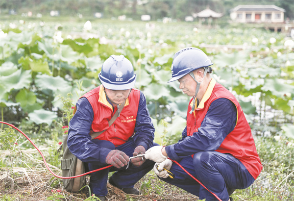4-2 2 2“电亮”荷月江岸.jpg