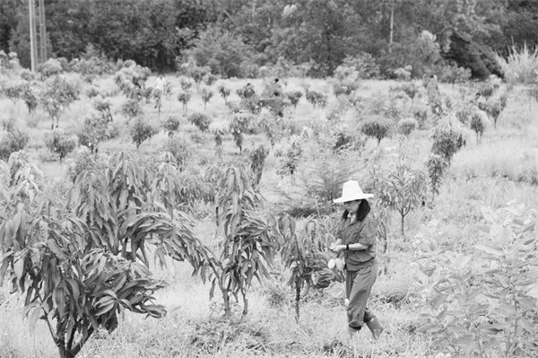 6-2 5矸石山上： 昔日尘.jpg