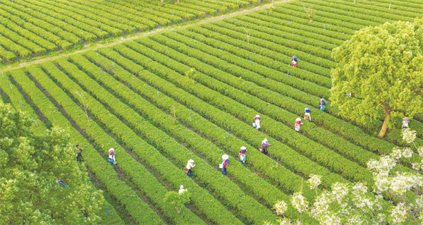 4-1 图配文1聚力品牌建设.jpg