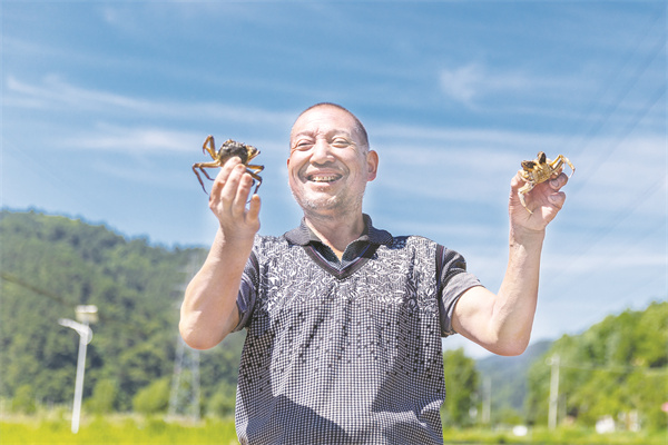 1-2 1 2 村民在水渠中放养的大闸蟹肥美健硕.jpg