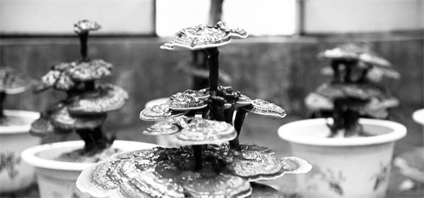 1657276576930428.jpg 3-2 图配文2.jpg