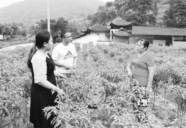 3-1 1-1 四川省泸州市叙永县.jpg