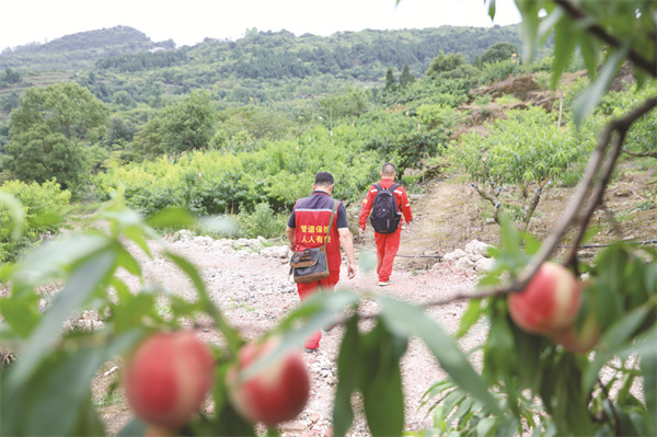 4-6 6 桃林巡线.jpg