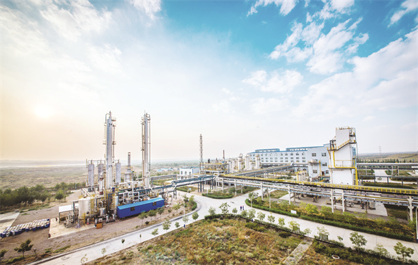 1657718519838688.jpg 1-1 1 新矿集团内蒙古恒.jpg