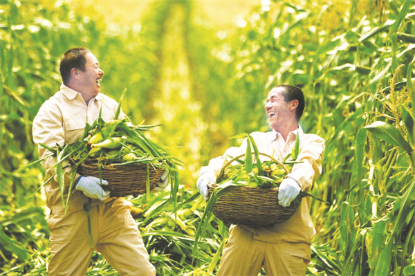 1-3 图配文2引领健康饮食.jpg