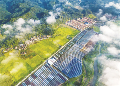 1-1 1（一版图片）广东省乡村振兴.jpg