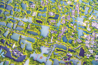 艾琳 湿地秋韵【组照】+艾琳.jpg