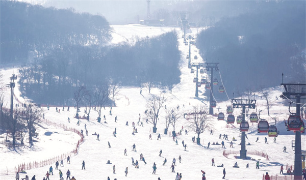 4-3 3，游客在吉林万科松.jpg