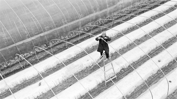 3-2 5 图片新闻.jpg