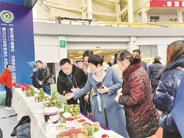 8-2 3 一颗青菜头.jpg