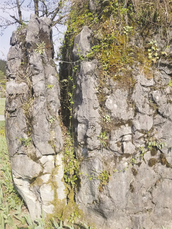 8-5 1 5黑石公园玄武岩3.jpg