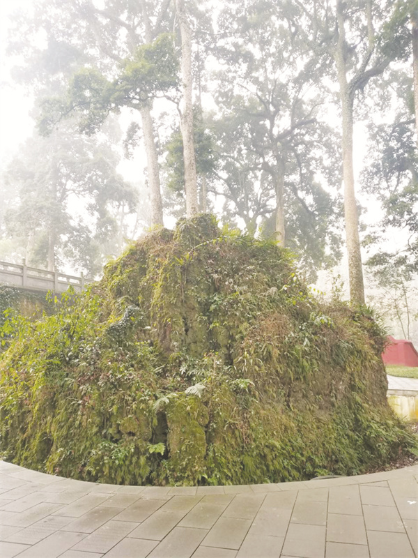 8-12 1 12云峰寺太湖石2.jpg