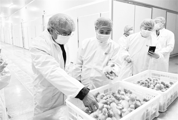 2-2 2 河南省多厅局.jpg