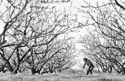 3-2 5 图片新闻.jpg