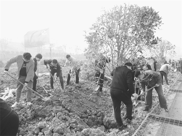 1679926323735328.jpg 2-5 7.jpg