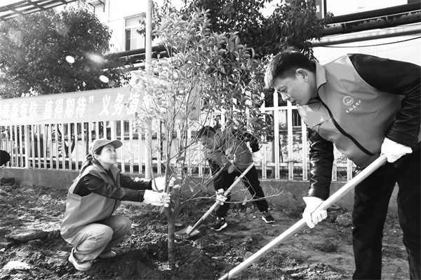 2-5 6，植树造林青年当先.jpg