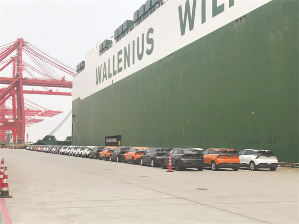 1680088648457013.jpg 1-2 2,上海外高桥海通码头上.jpg