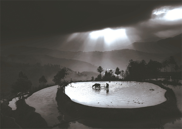 1680526194489879.jpg 林岳明作品田园.jpg